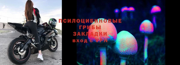 Альфа ПВП Балахна