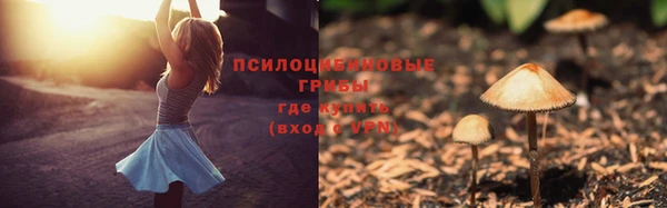 Альфа ПВП Балахна