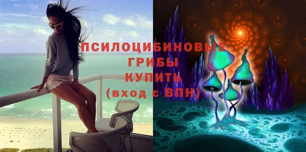ALPHA PVP Баксан