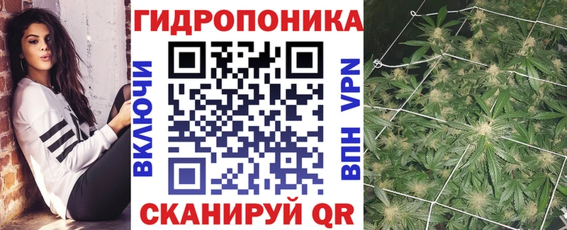 shop наркотические препараты  Баксан  Марихуана VHQ 